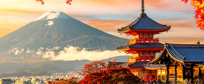 Mesmerizing Japan